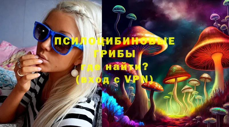 Галлюциногенные грибы Cubensis  Углич 